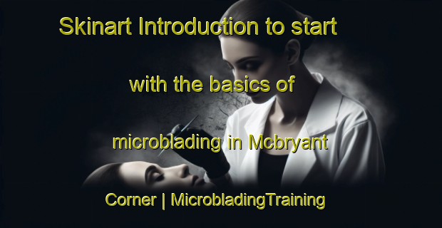 Skinart Introduction to start with the basics of microblading in Mcbryant Corner | MicrobladingTraining | MicrobladingClasses | SkinartTraining-United States